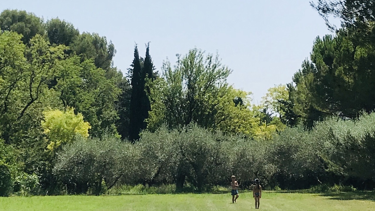 Photo of Outdoor in Aiguelongue