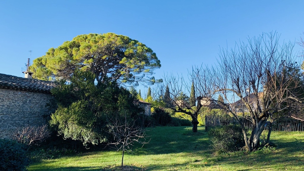 Photo of Outdoor in Aiguelongue