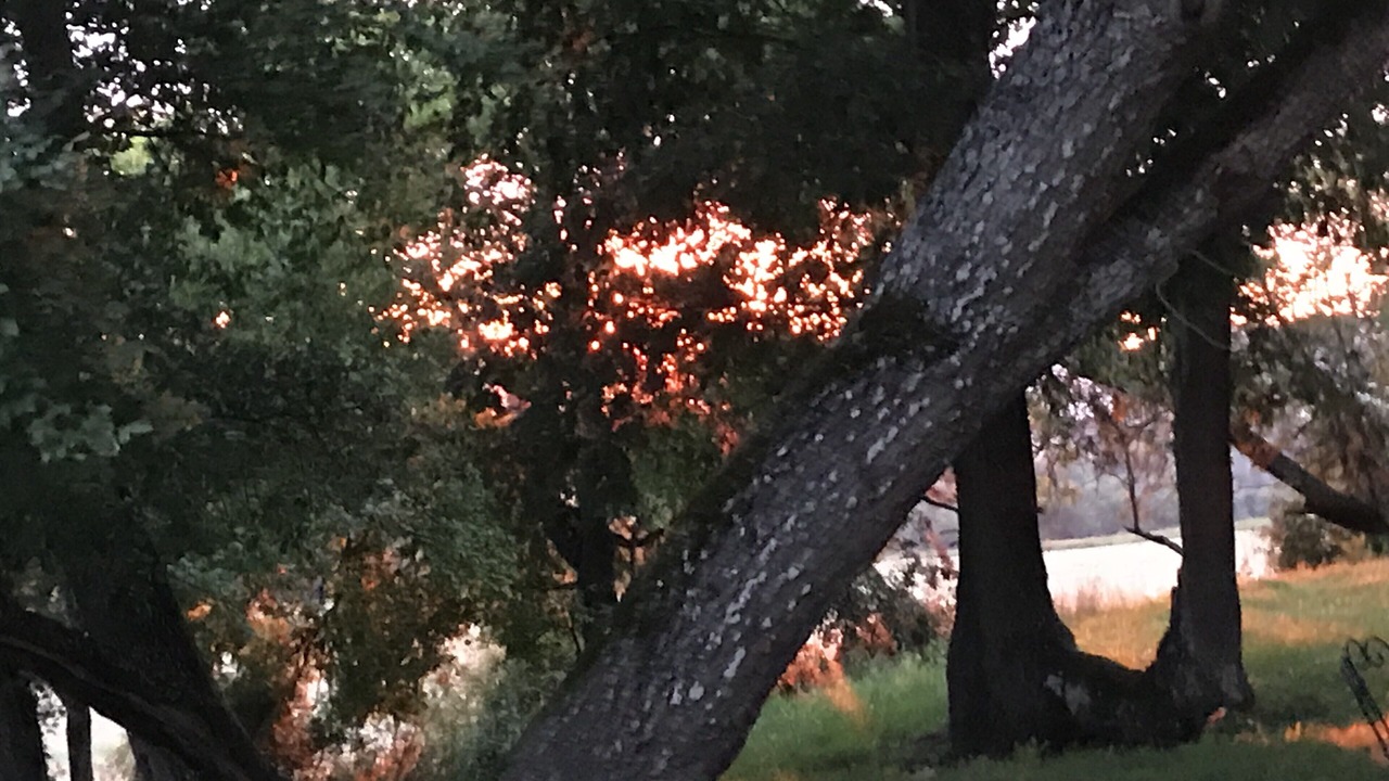 Photo of Outdoor in Lavardens