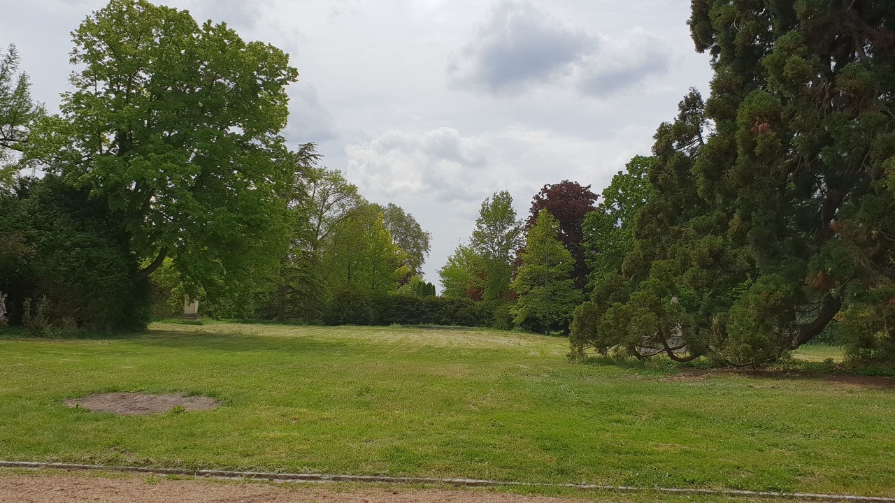 Photo of Outdoor in Assay