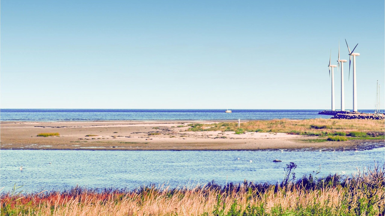 Photo of Others in Bønnerup Strand