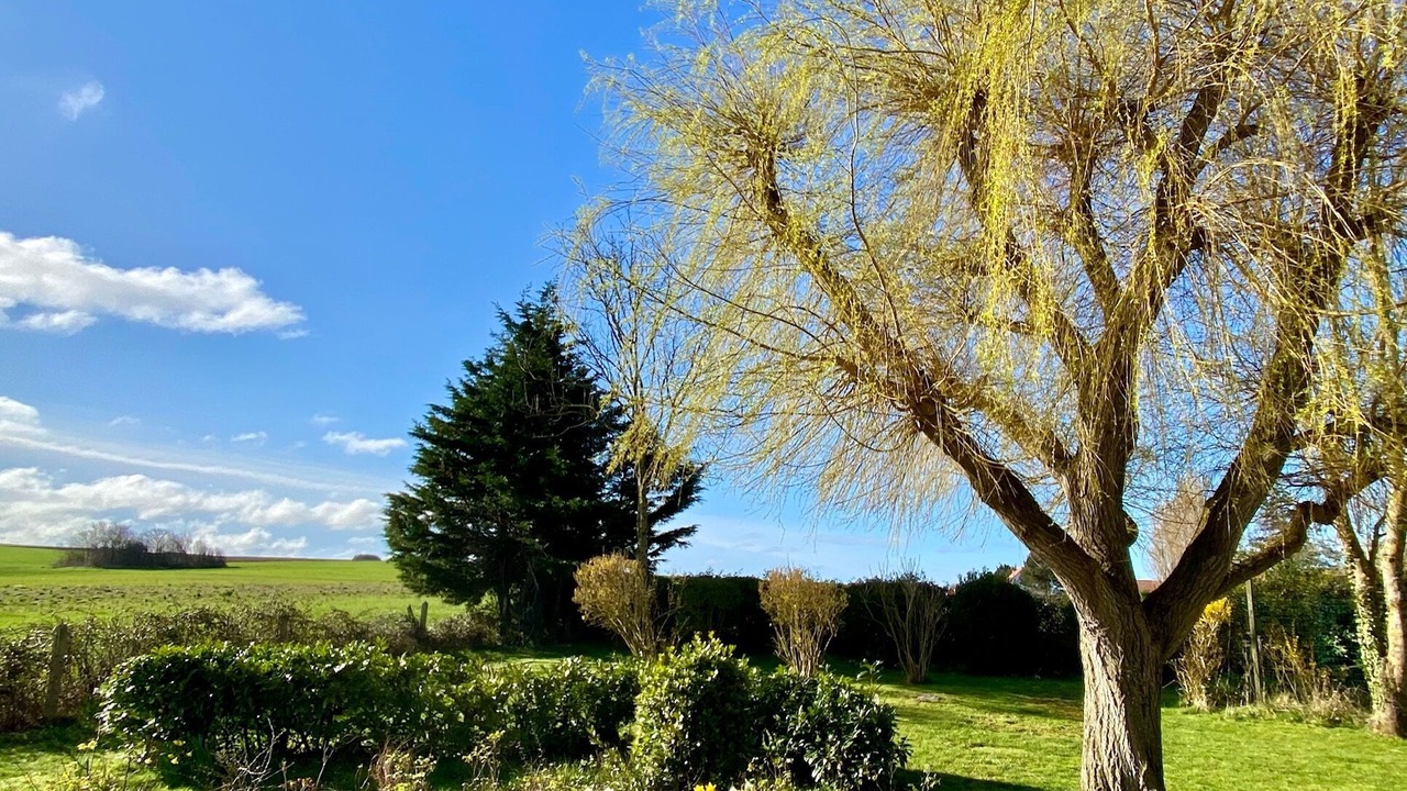 Photo of Outdoor in Wissant