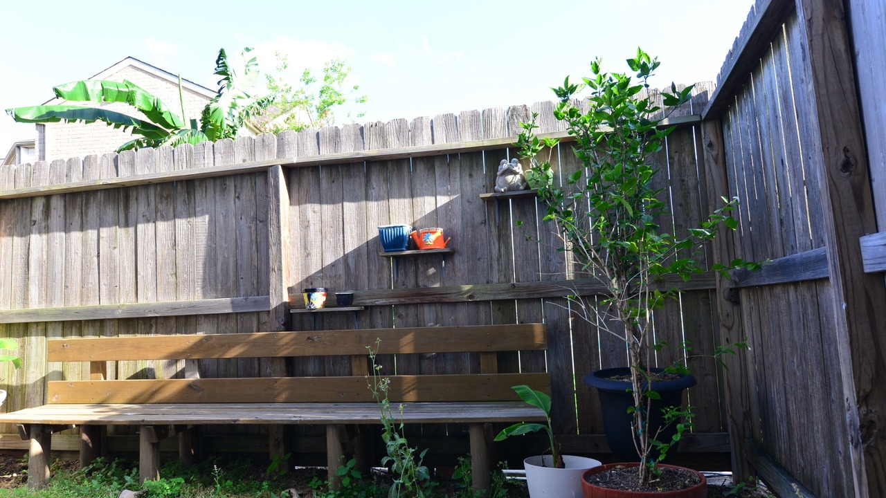 Photo of Outdoor in Westchase