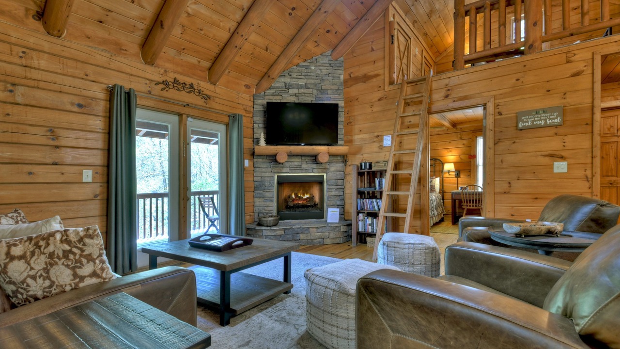 Photo of Livingroom in McCaysville