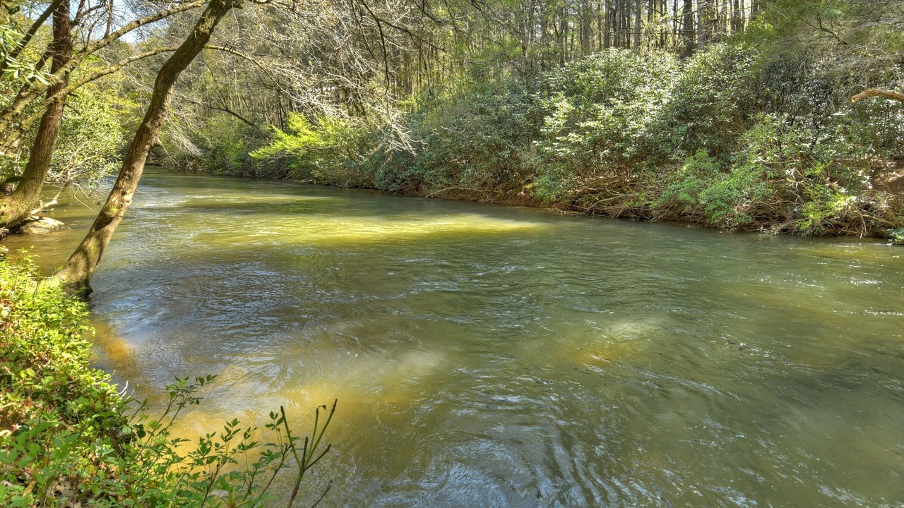 Photo of Others in McCaysville