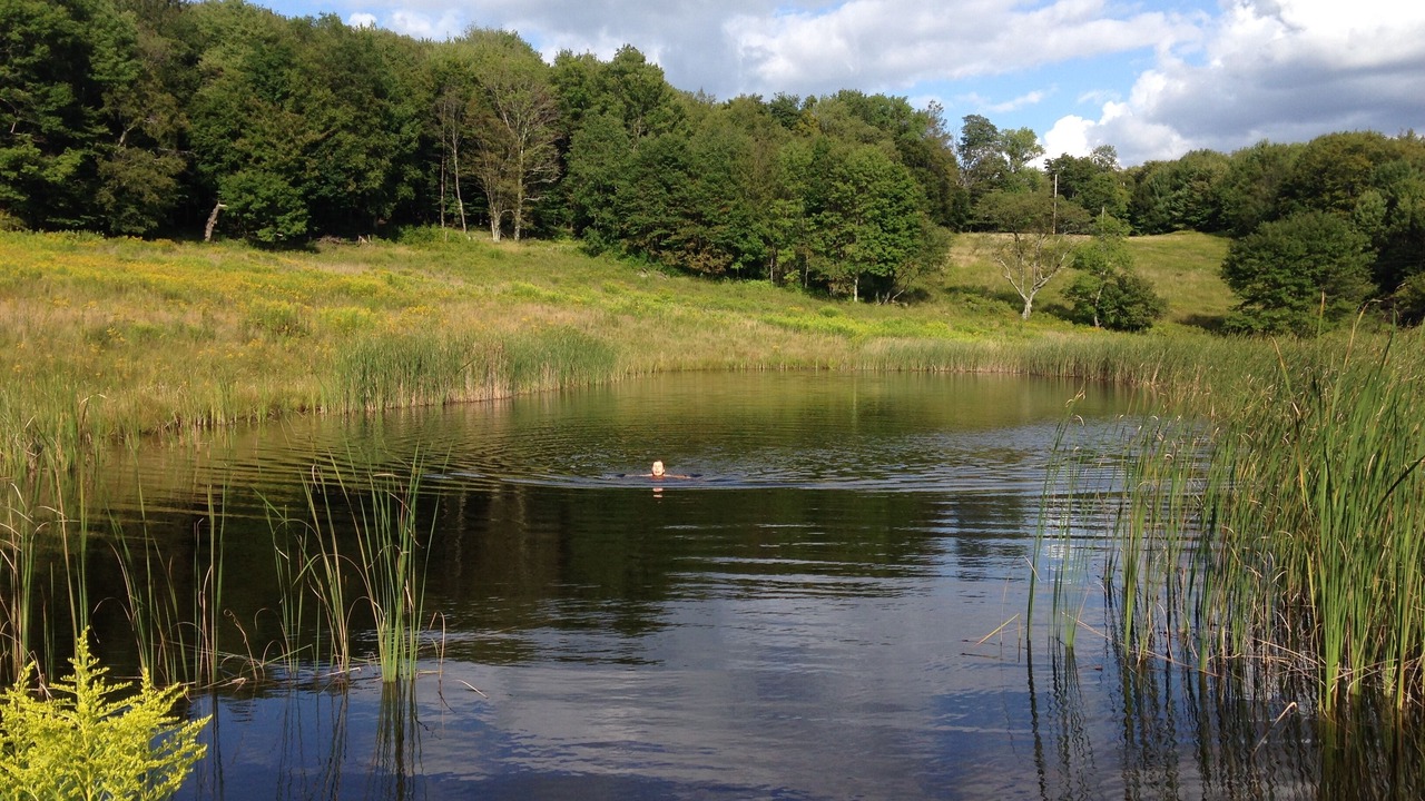 Photo of Outdoor in Andes
