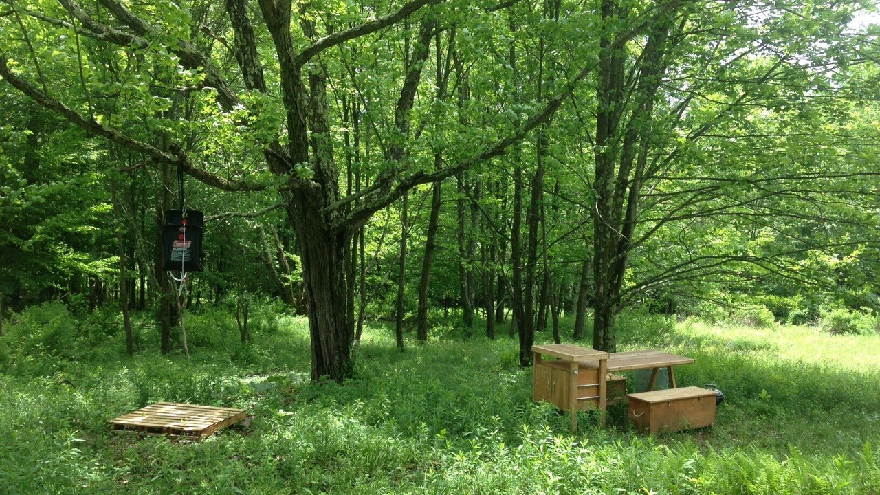 Photo of Outdoor in Andes