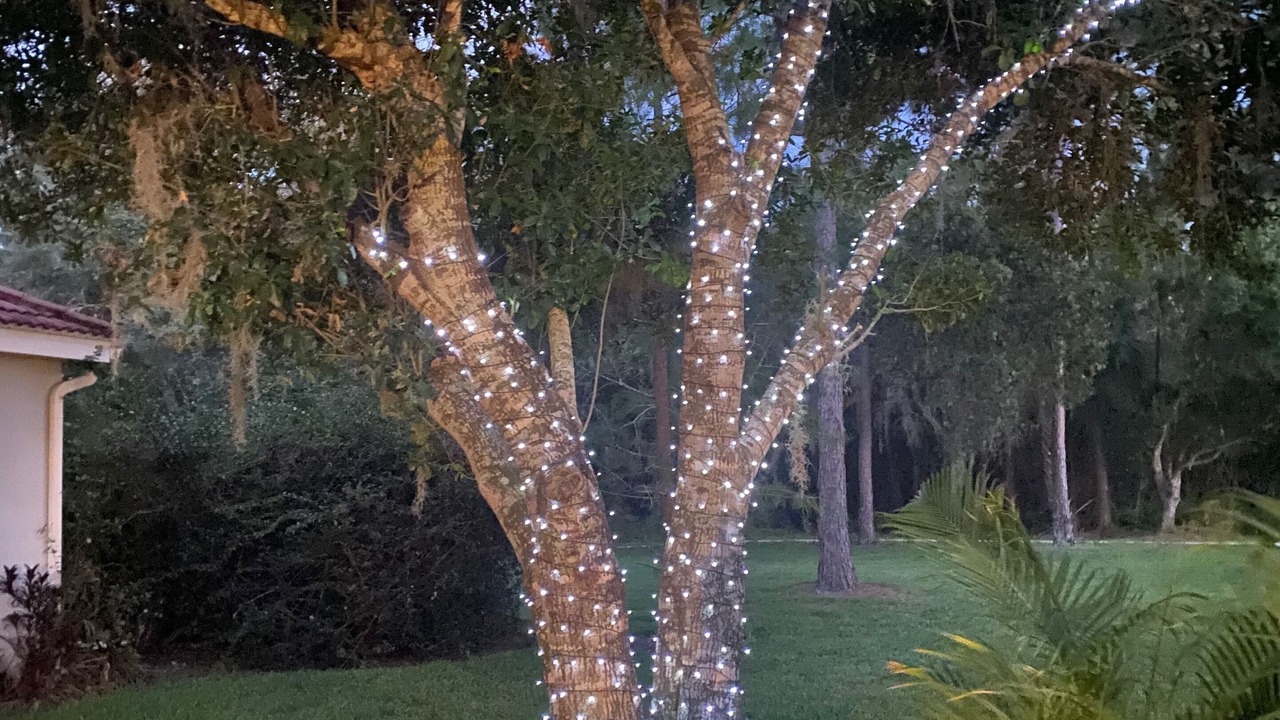 Photo of Outdoor in Fruitville