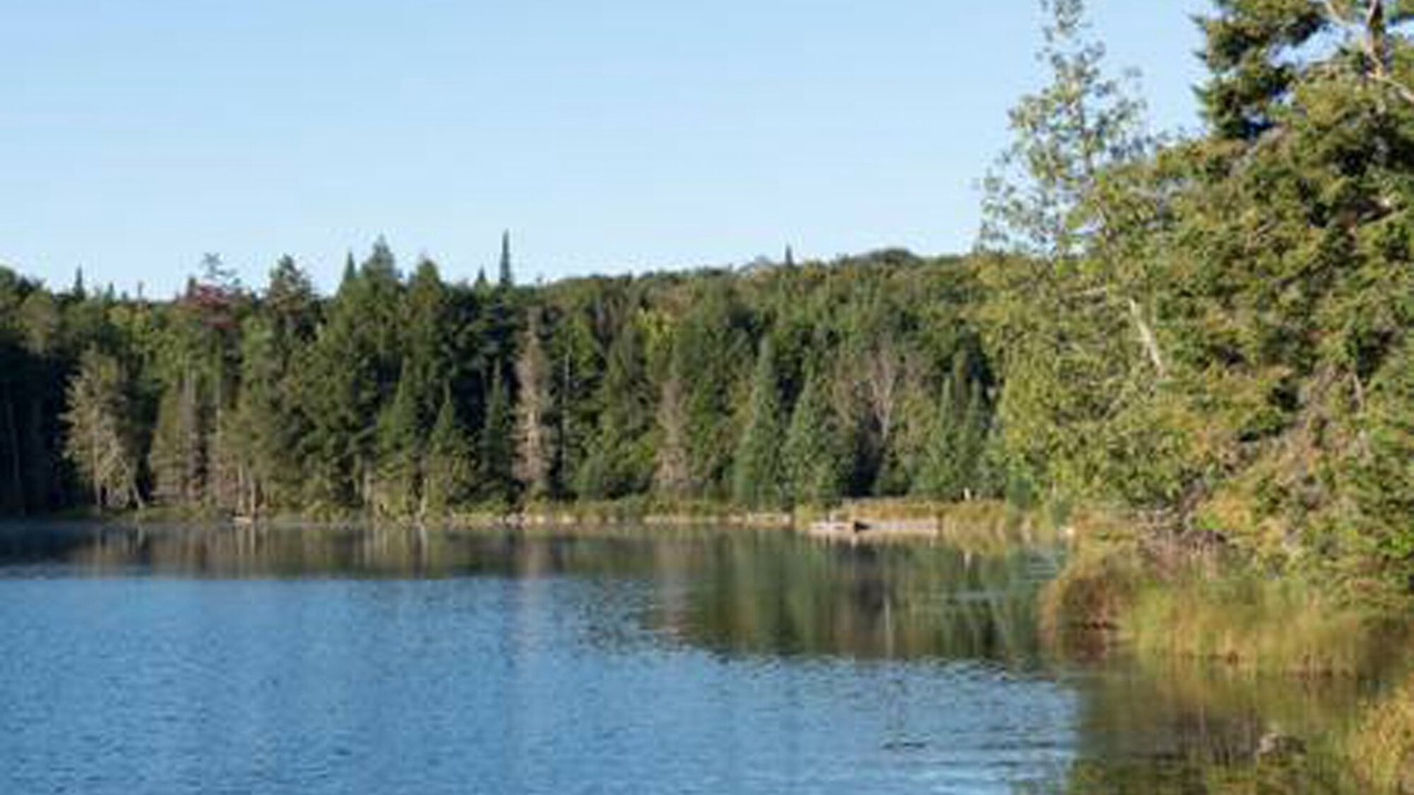 Photo of Outdoor in Labelle
