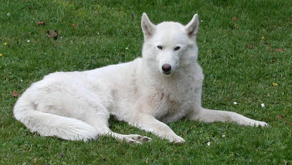 Photo of Others in Cirey-sur-Vezouze