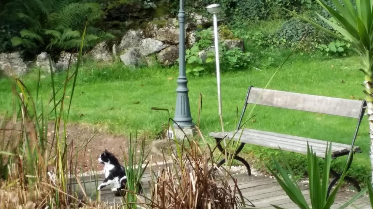 Photo of Outdoor in Cirey-sur-Vezouze