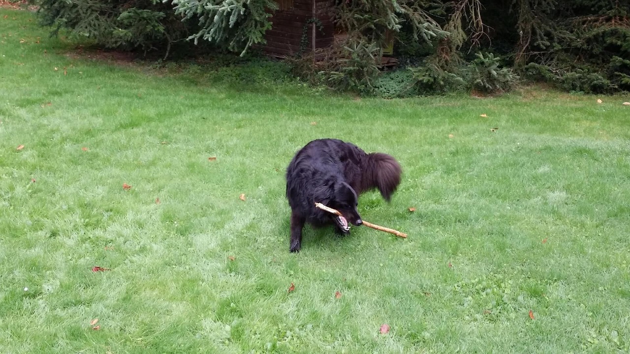 Photo of Outdoor in Cirey-sur-Vezouze