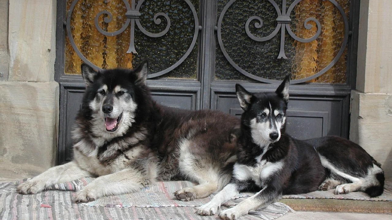 Photo of Outdoor in Cirey-sur-Vezouze