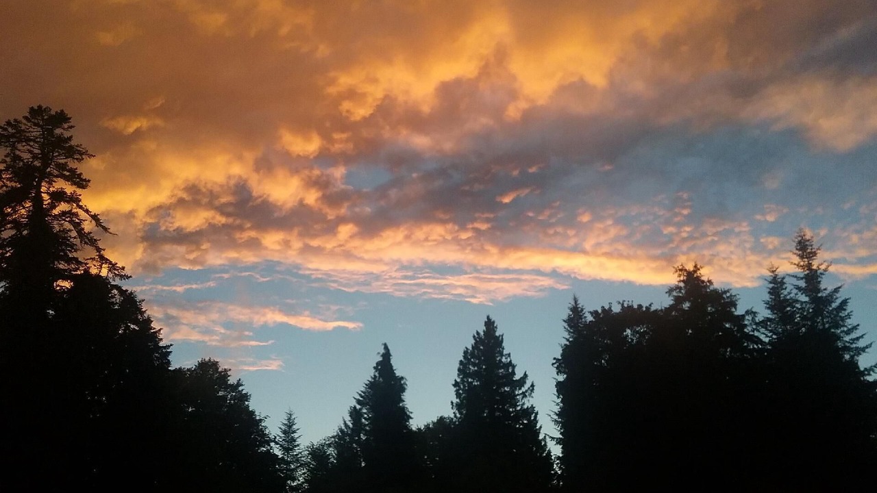 Photo of Others in Cirey-sur-Vezouze