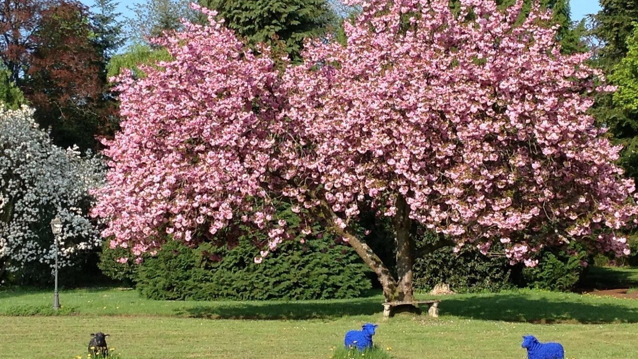 Photo of Outdoor in Cirey-sur-Vezouze