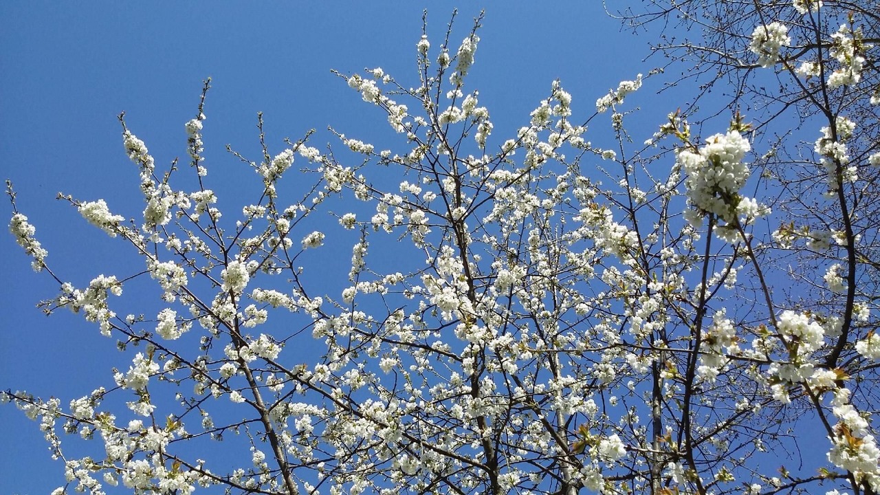 Photo of Others in Cirey-sur-Vezouze