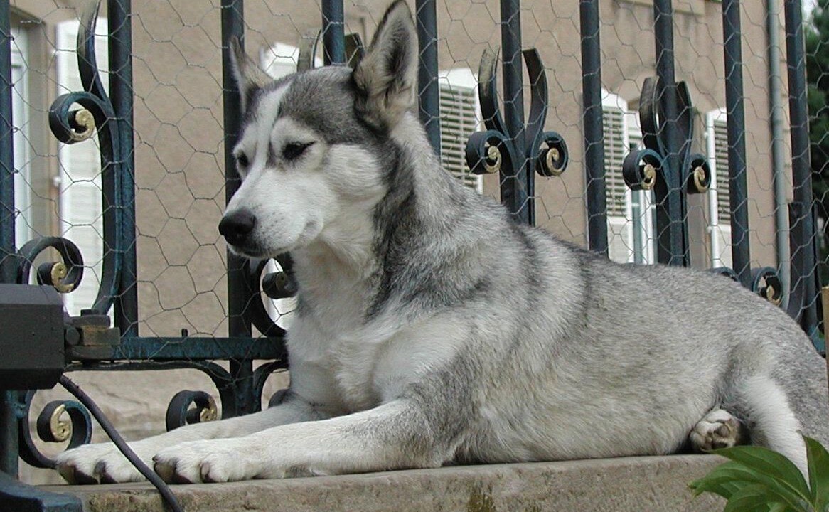 Photo of Others in Cirey-sur-Vezouze