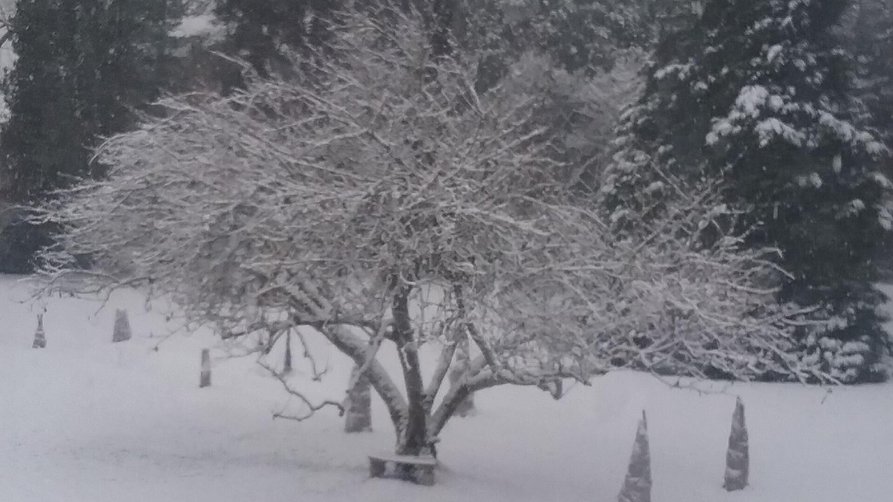 Photo of Outdoor in Cirey-sur-Vezouze