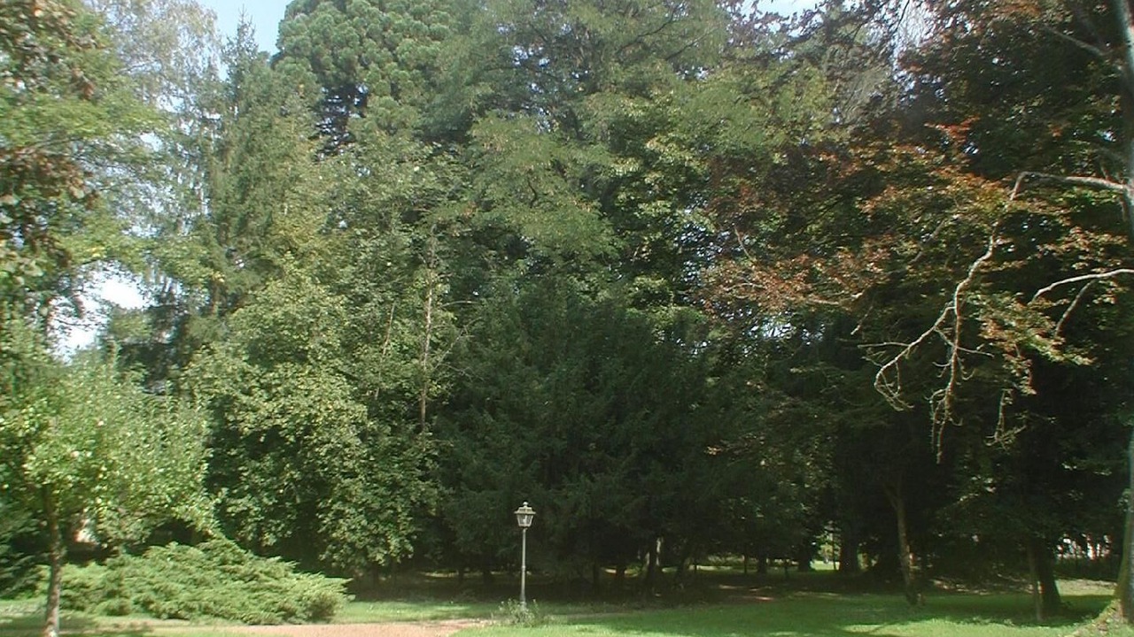 Photo of Others in Cirey-sur-Vezouze