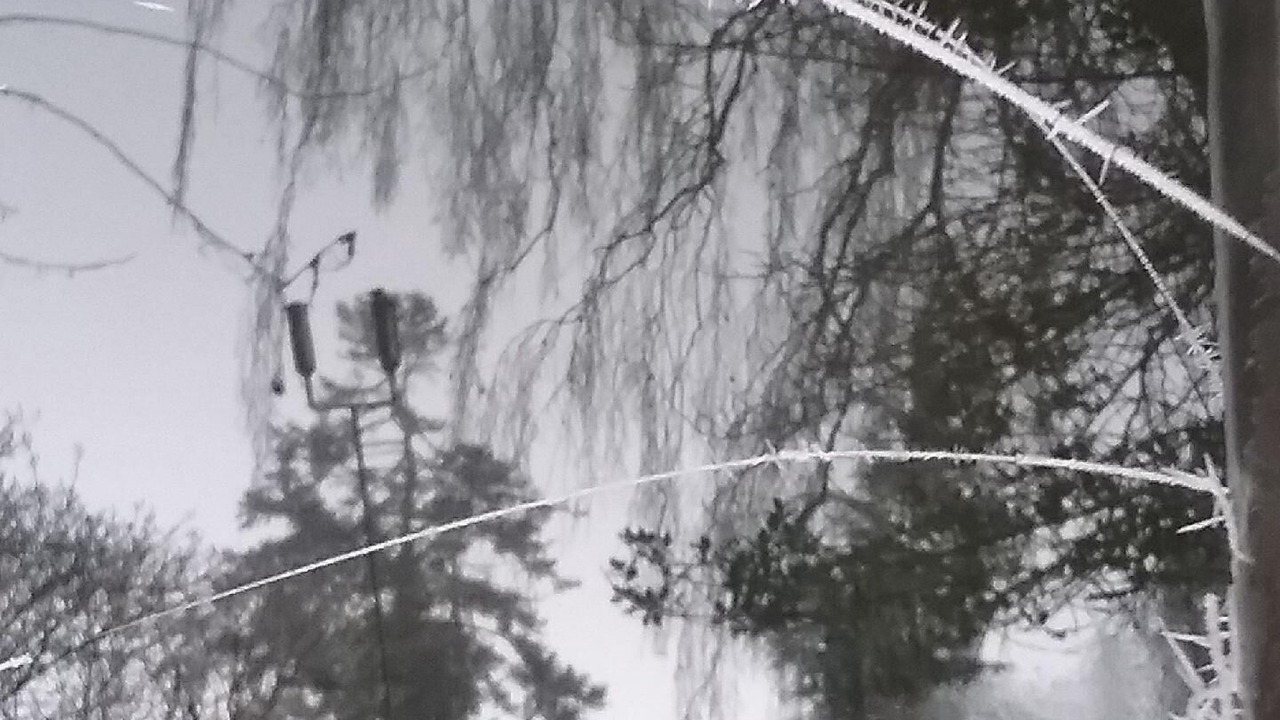 Photo of Others in Cirey-sur-Vezouze