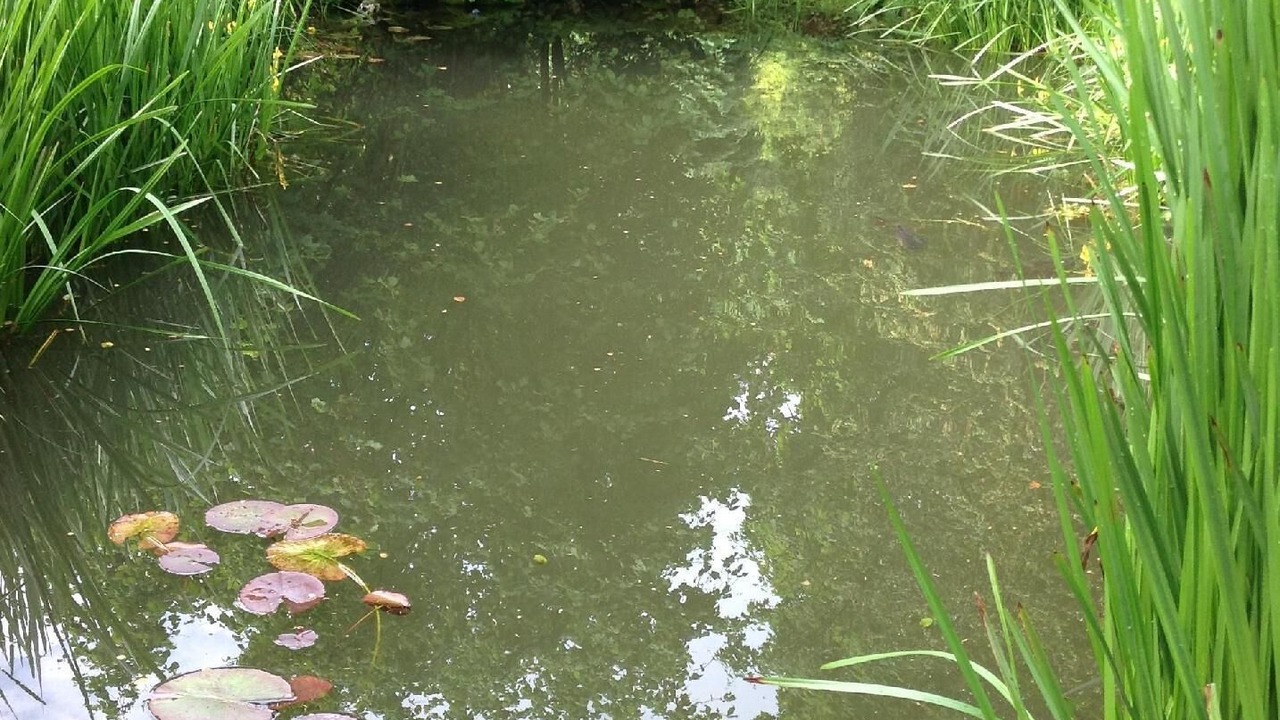 Photo of Outdoor in Cirey-sur-Vezouze