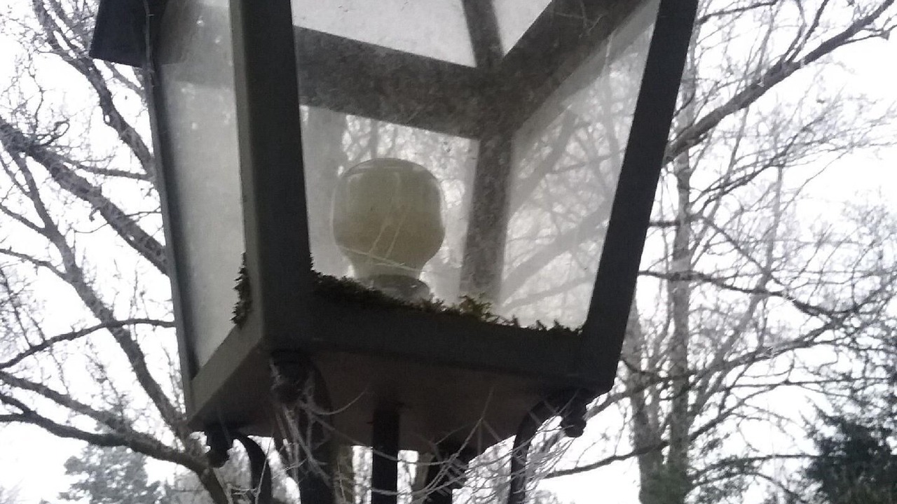 Photo of Outdoor in Cirey-sur-Vezouze