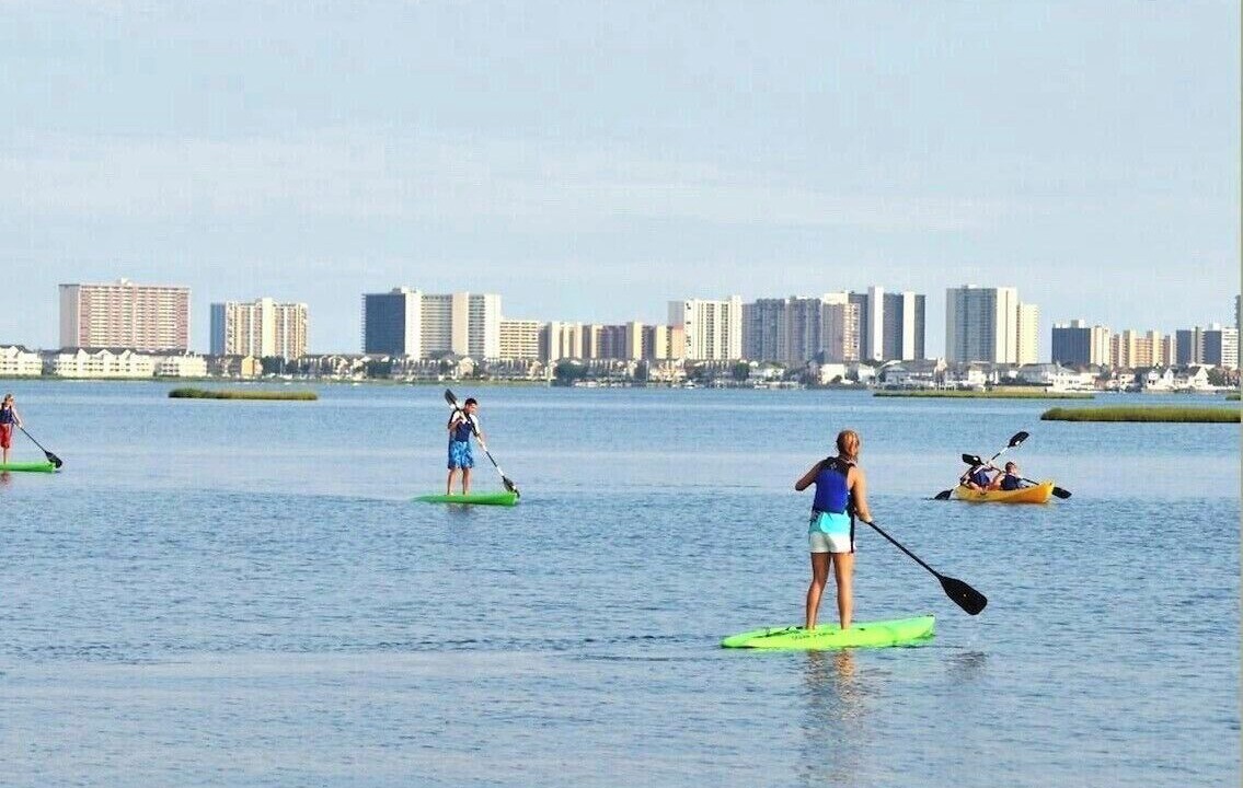 Photo of Others in The Commons