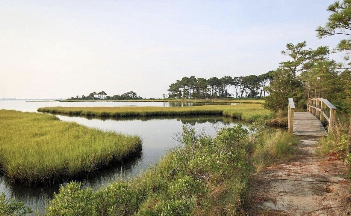 Photo of Others in The Commons