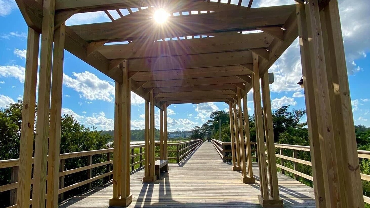 Photo of Others in The Commons