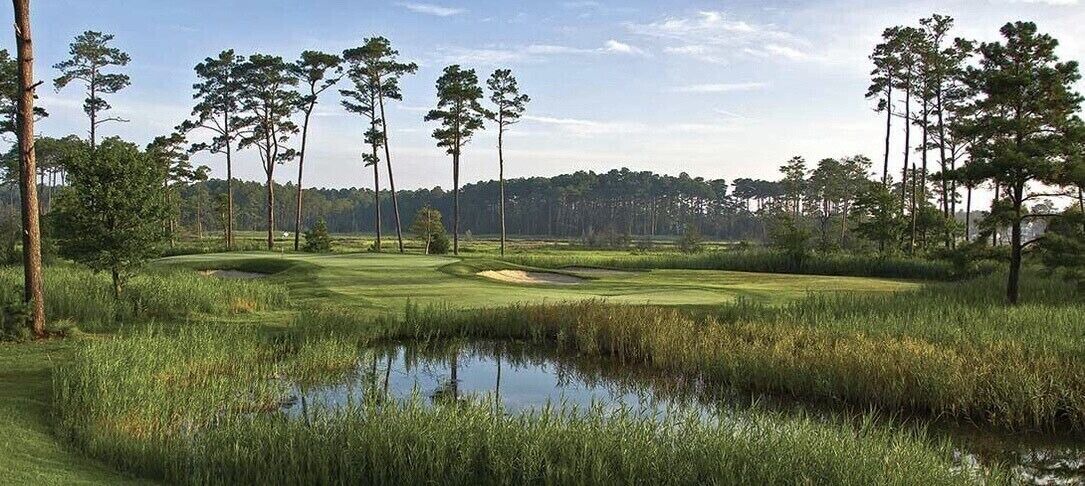 Photo of Others in The Commons