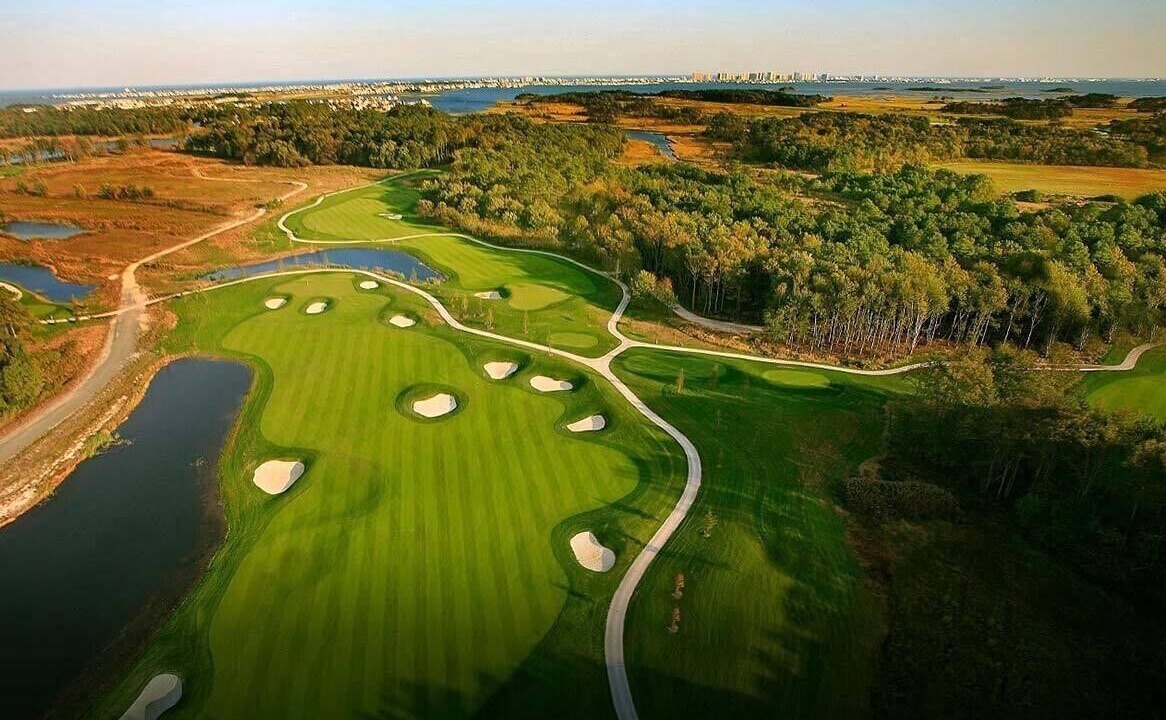 Photo of Others in The Commons