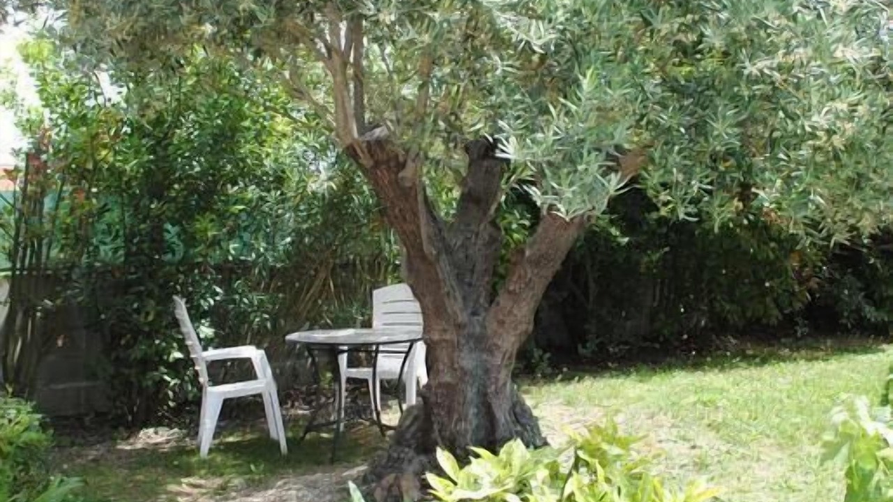 Photo of Outdoor in Colomiers