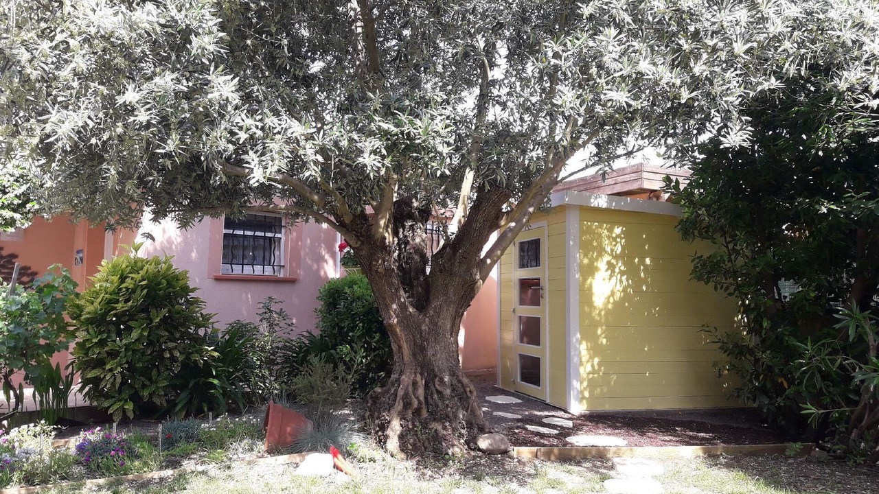 Photo of Outdoor in Colomiers