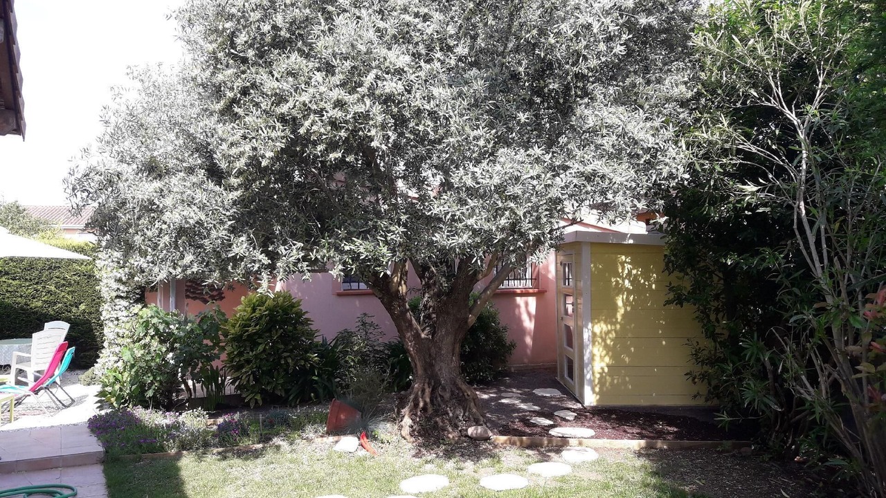 Photo of Outdoor in Colomiers