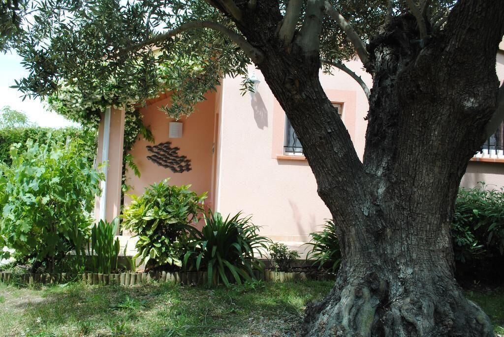 Photo of Outdoor in Colomiers