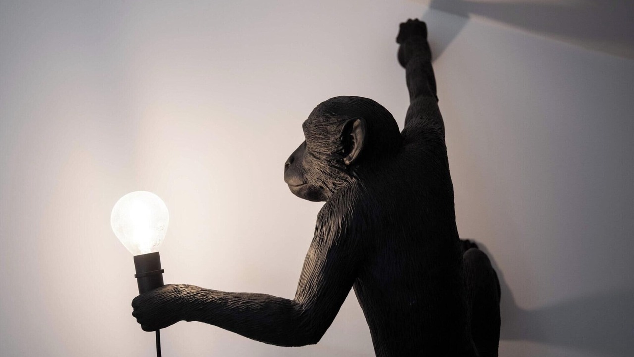 Photo of Others in Carcassonne