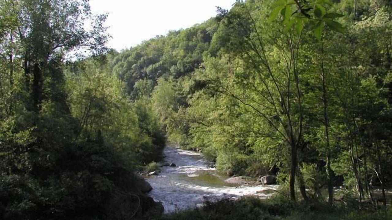 Photo of Others in Le Tech