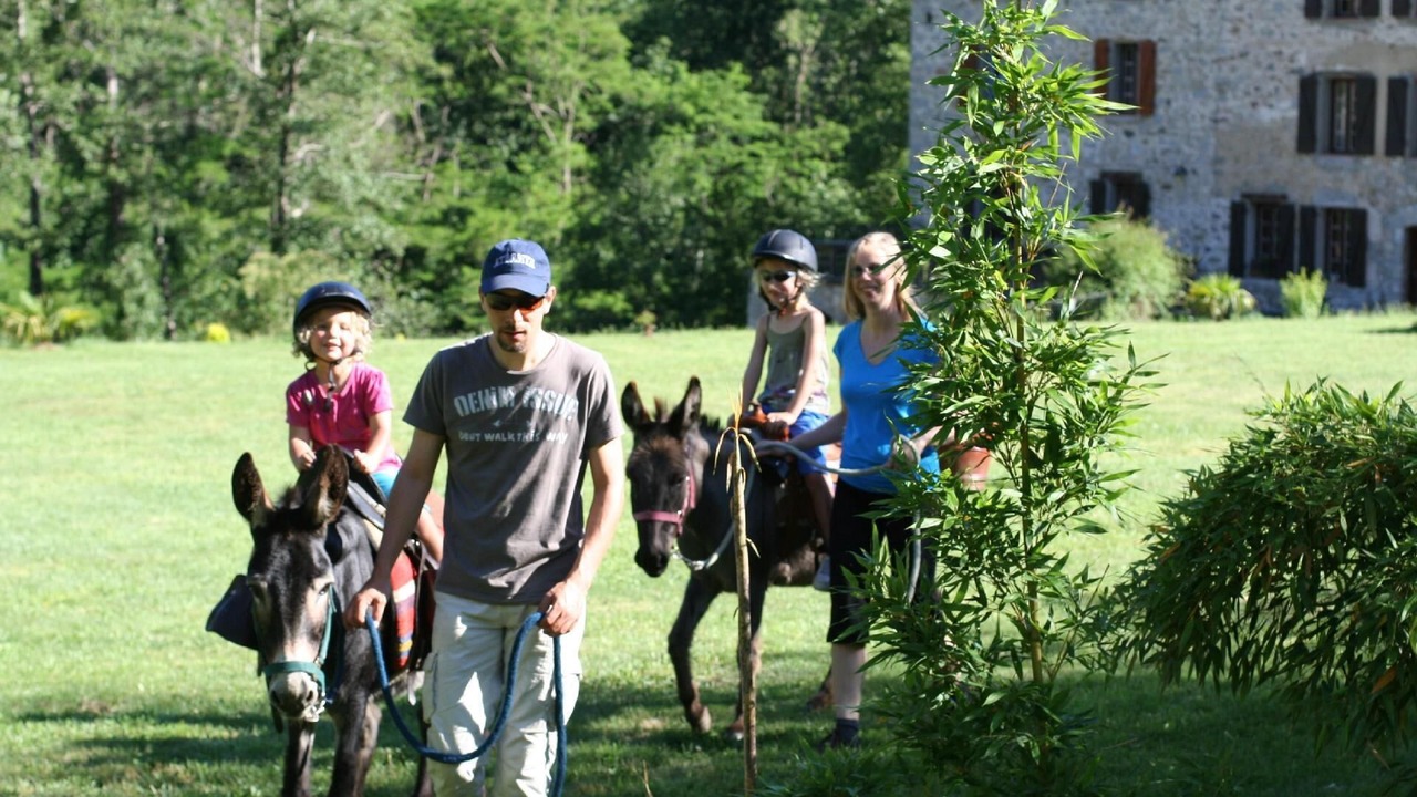 Photo of Others in Le Tech