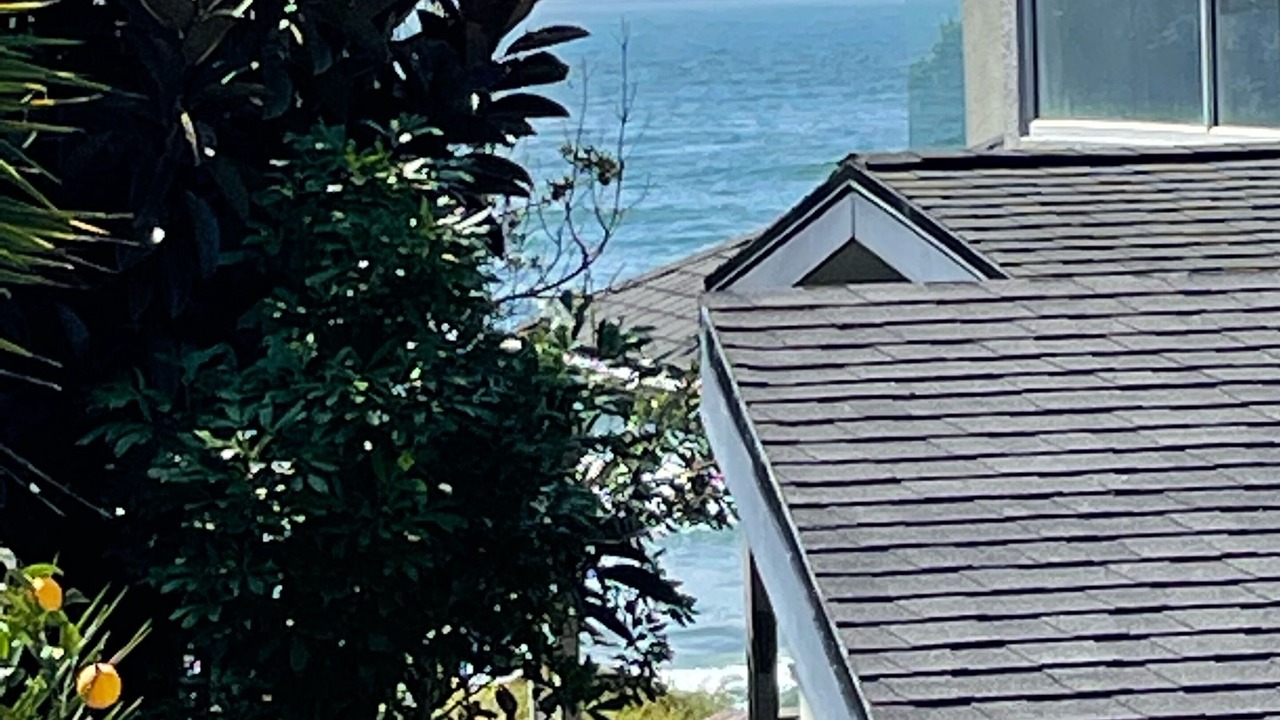 Photo of Outdoor in Papamoa Beach