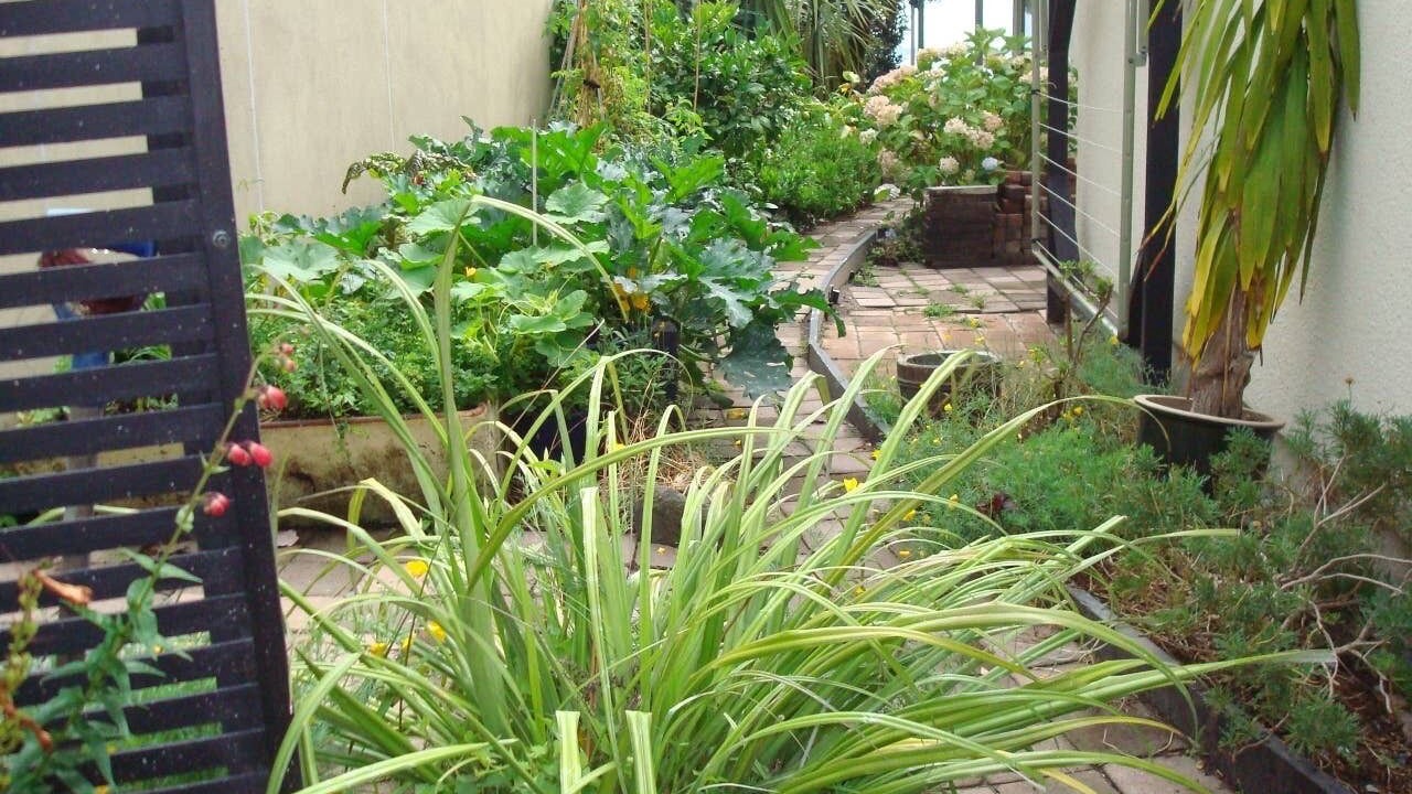 Photo of Outdoor in Papamoa Beach