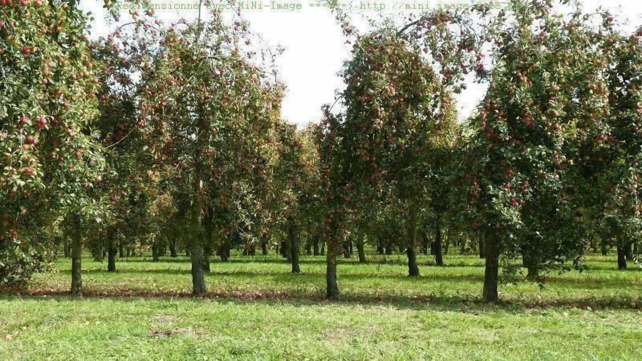 Photo of Outdoor in Fontaine-Etoupefour