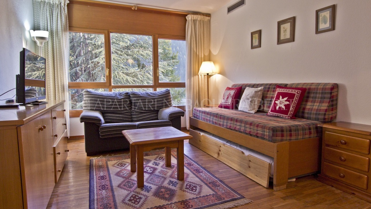 Photo of Livingroom in Baqueira
