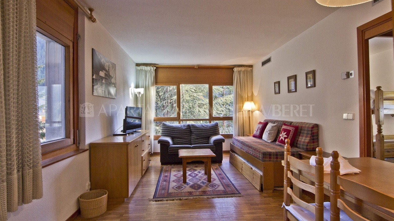 Photo of Livingroom in Baqueira