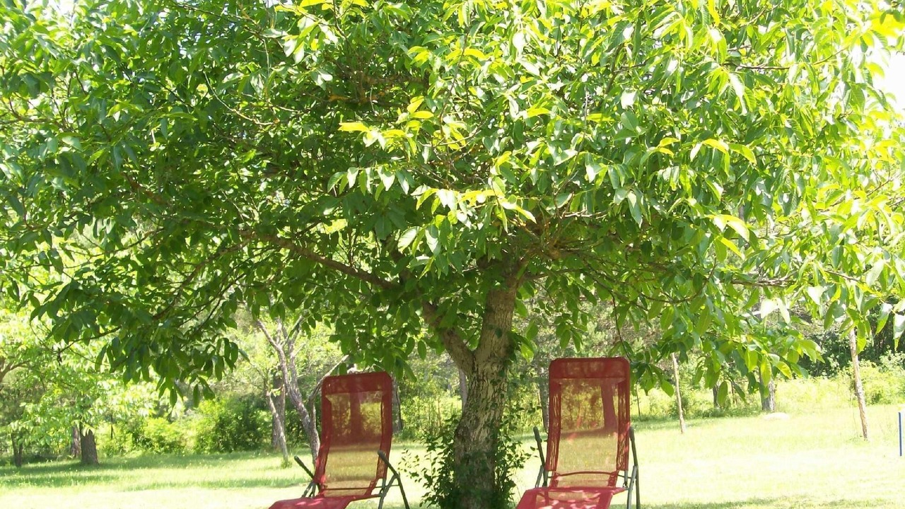 Photo of Outdoor in Rudanovac