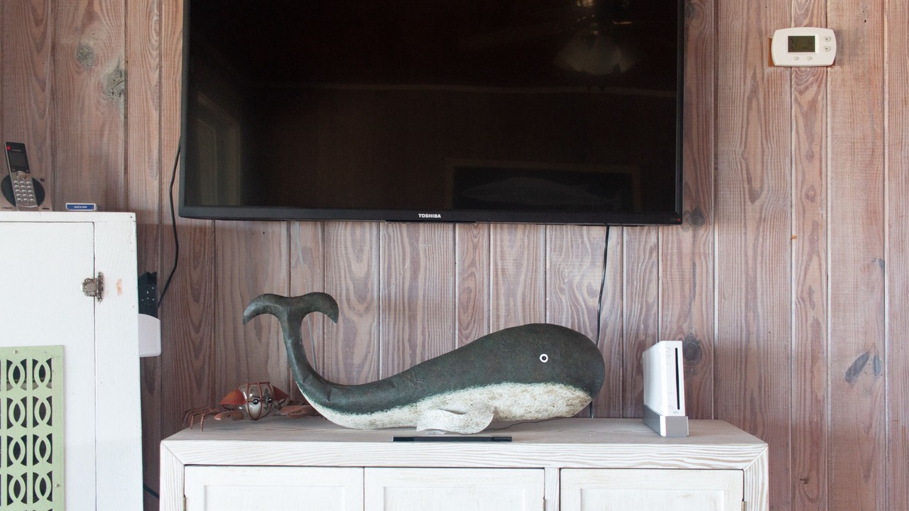 Photo of Others in Alligator Point