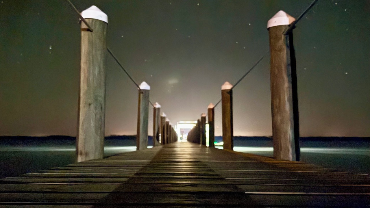 Photo of Outdoor in Alligator Point