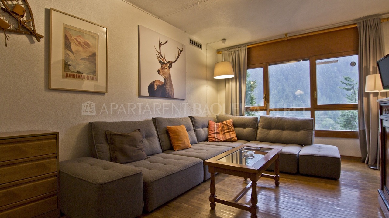 Photo of Livingroom in Baqueira