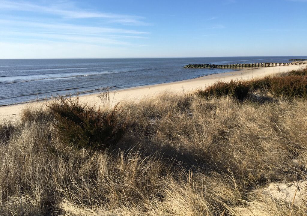 Photo of Others in Town Bank