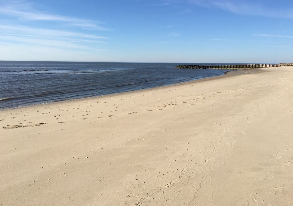 Photo of Others in Town Bank