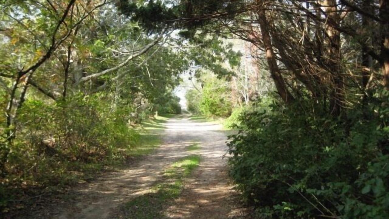 Photo of Outdoor in Campground Landing